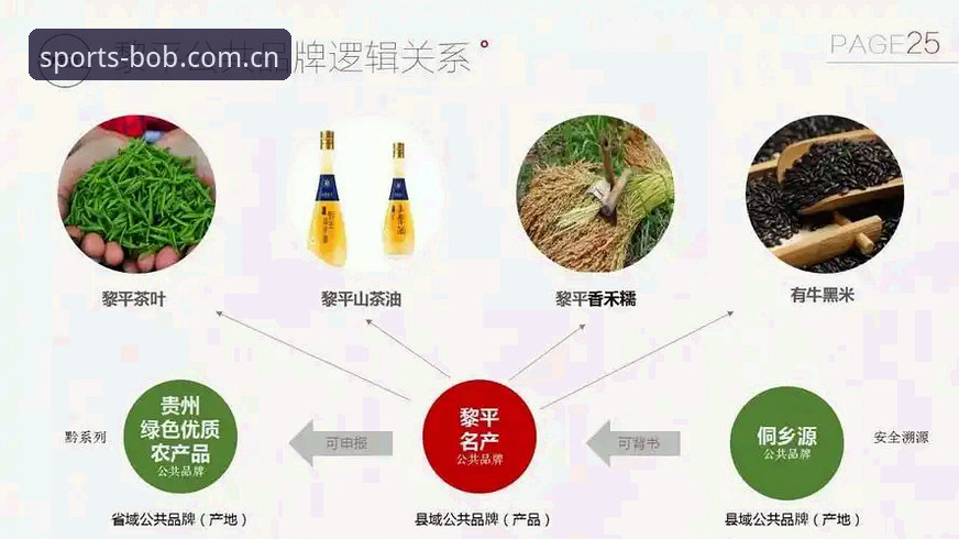 揭秘bob半岛APP版本更新背后的创新逻辑：从界面到数据的全面突破